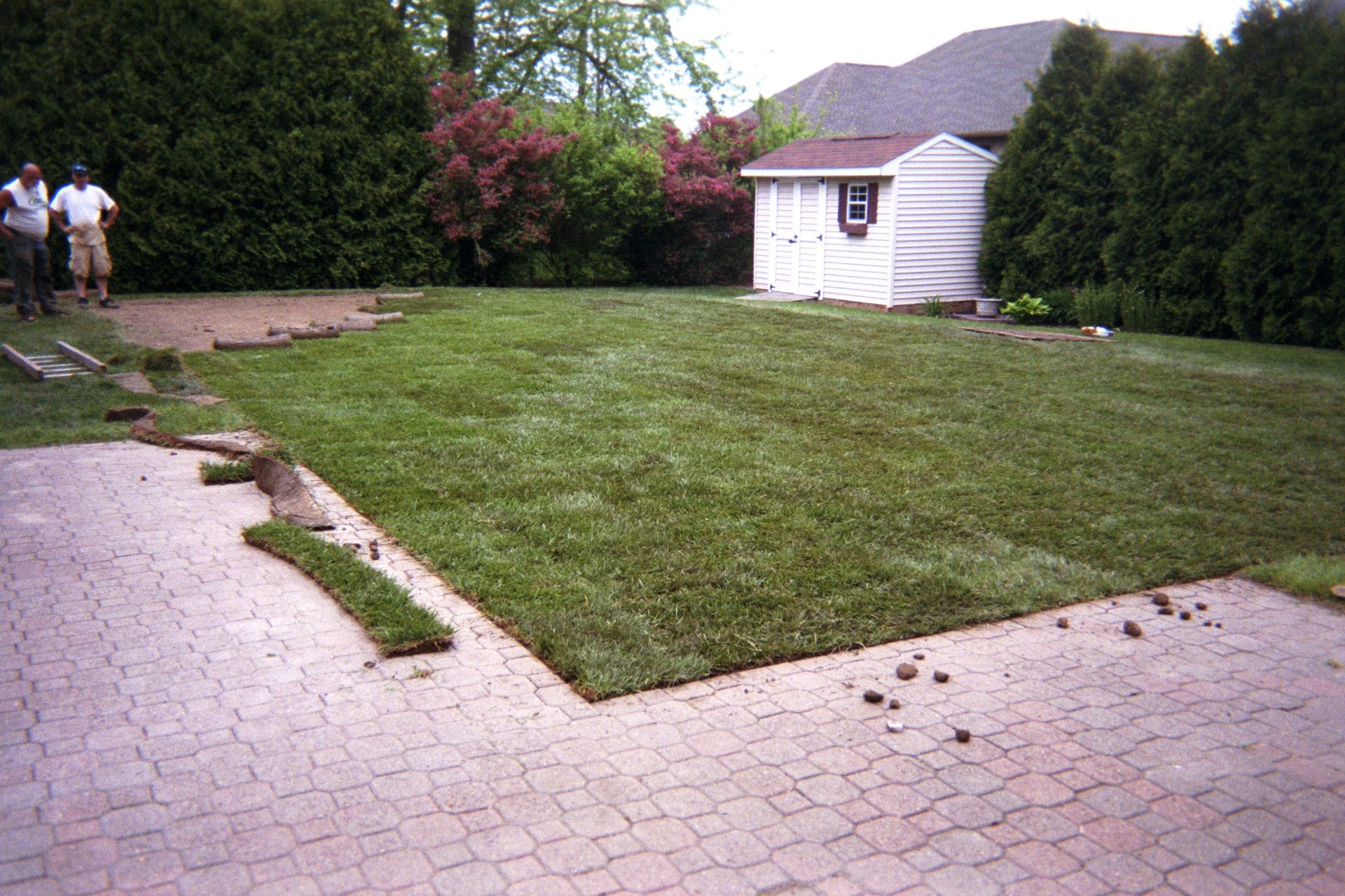 Inground Pool Removal | Niagara Falls, NY