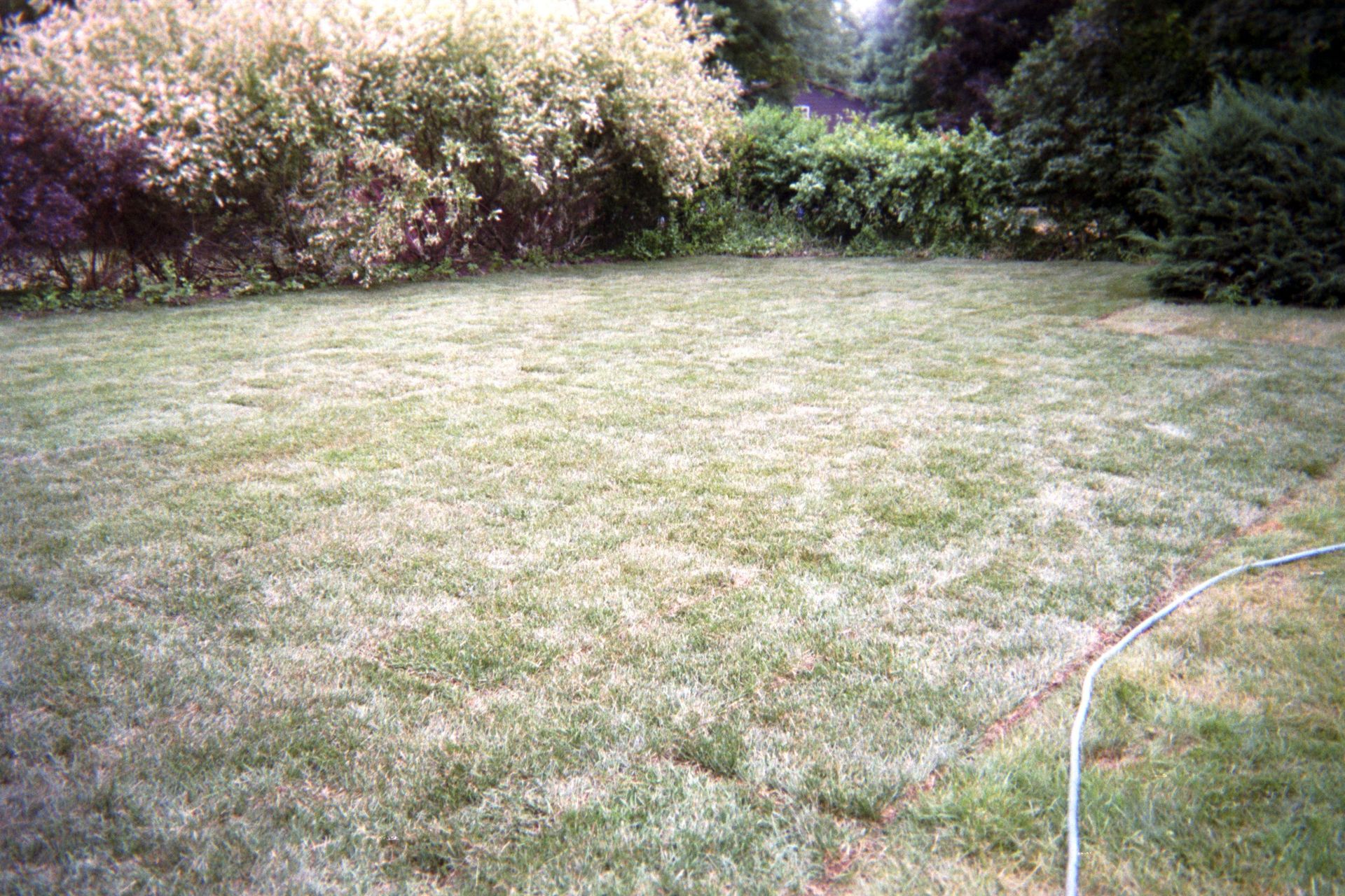 Swimming Pool Removal | Lockport, NY