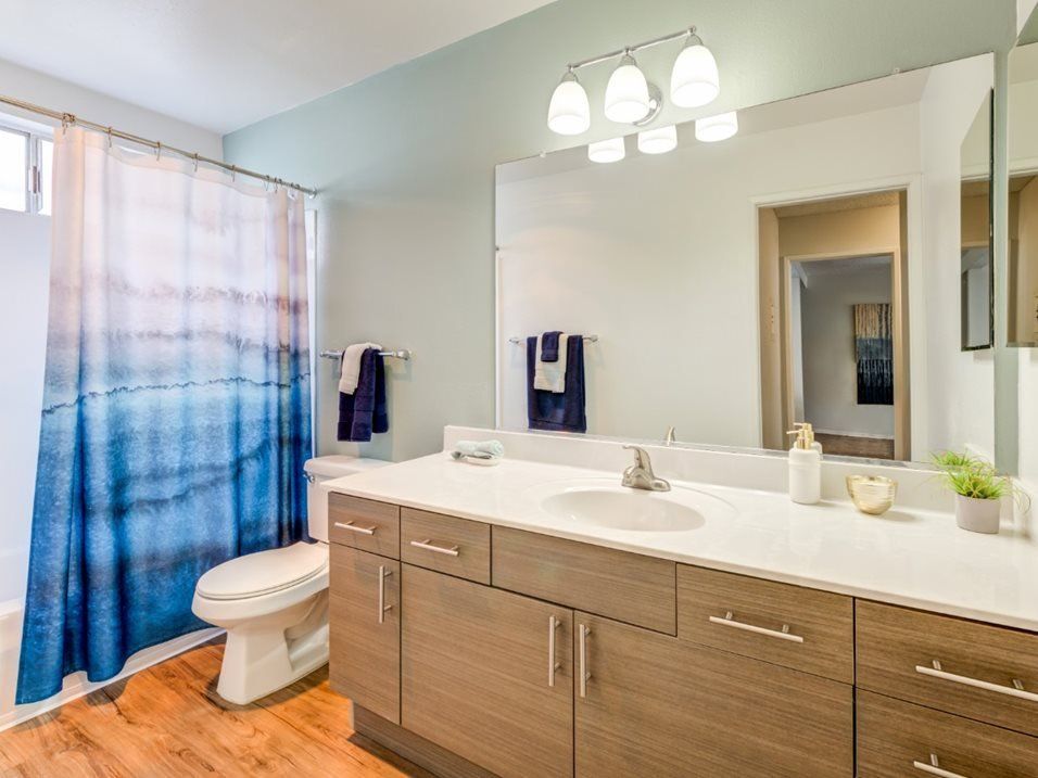 Bathroom | Terra at Austin