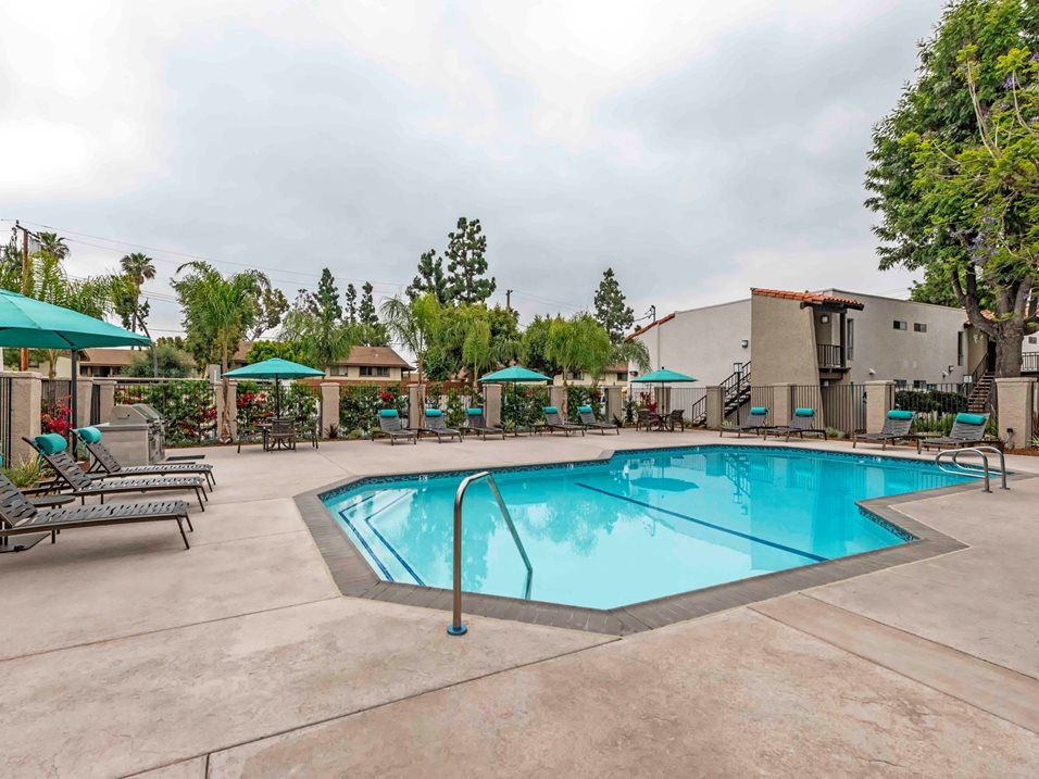 Pool | Terra at Austin