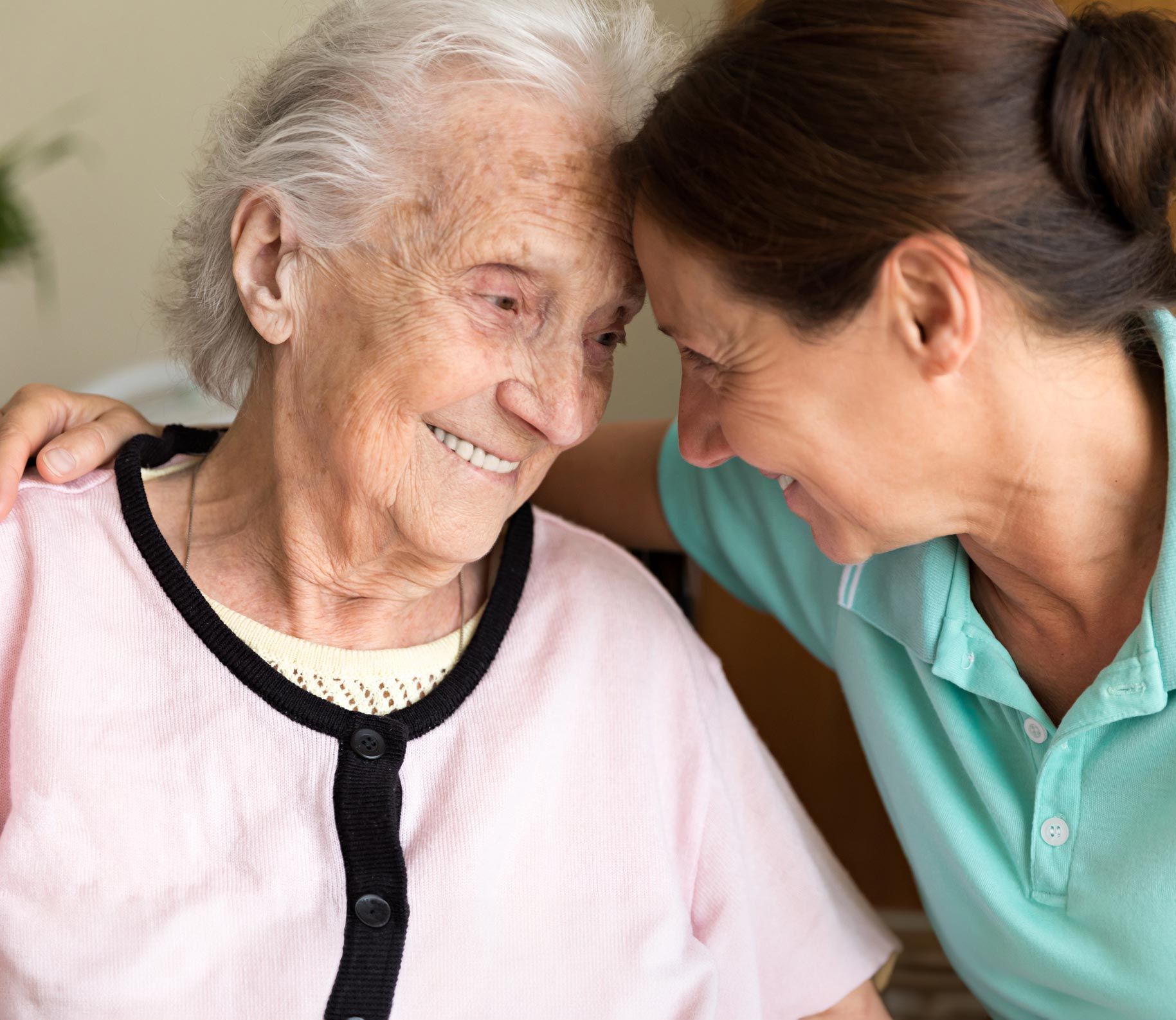 Home Caregiver And Elderly Woman — Princeton, IN — Friends and Family Caregivers