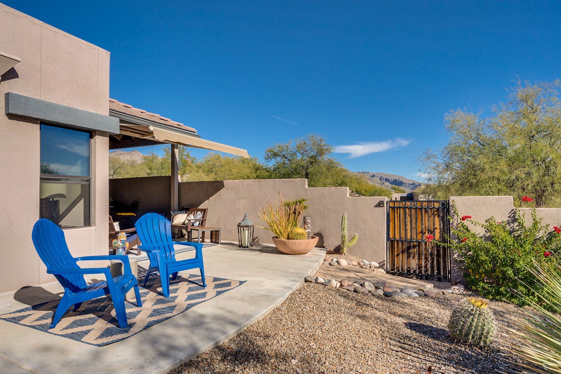 watch the sunset Tucson from the backyard