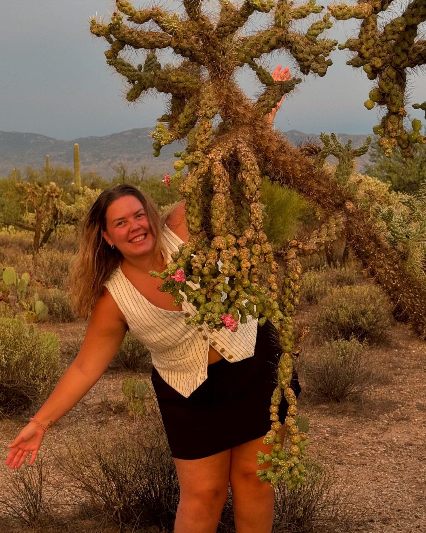 sabino canyon tucson