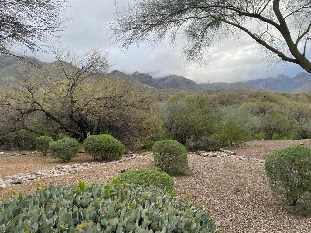 sabino canyon tucson