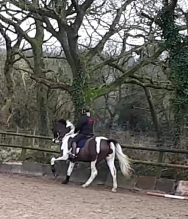 Riding school & livery | Pembrey Equestrian Centre