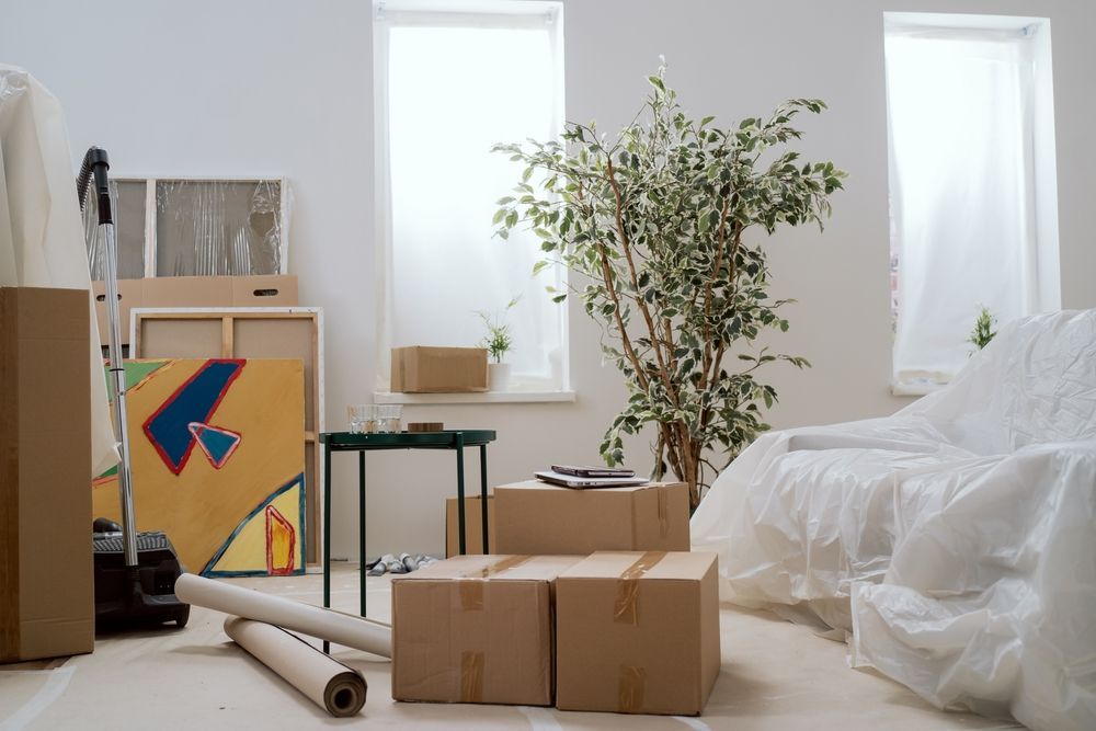 Moving boxes and rolled rugs in a bright room with a plant and covered furniture, suggesting a move or renovation