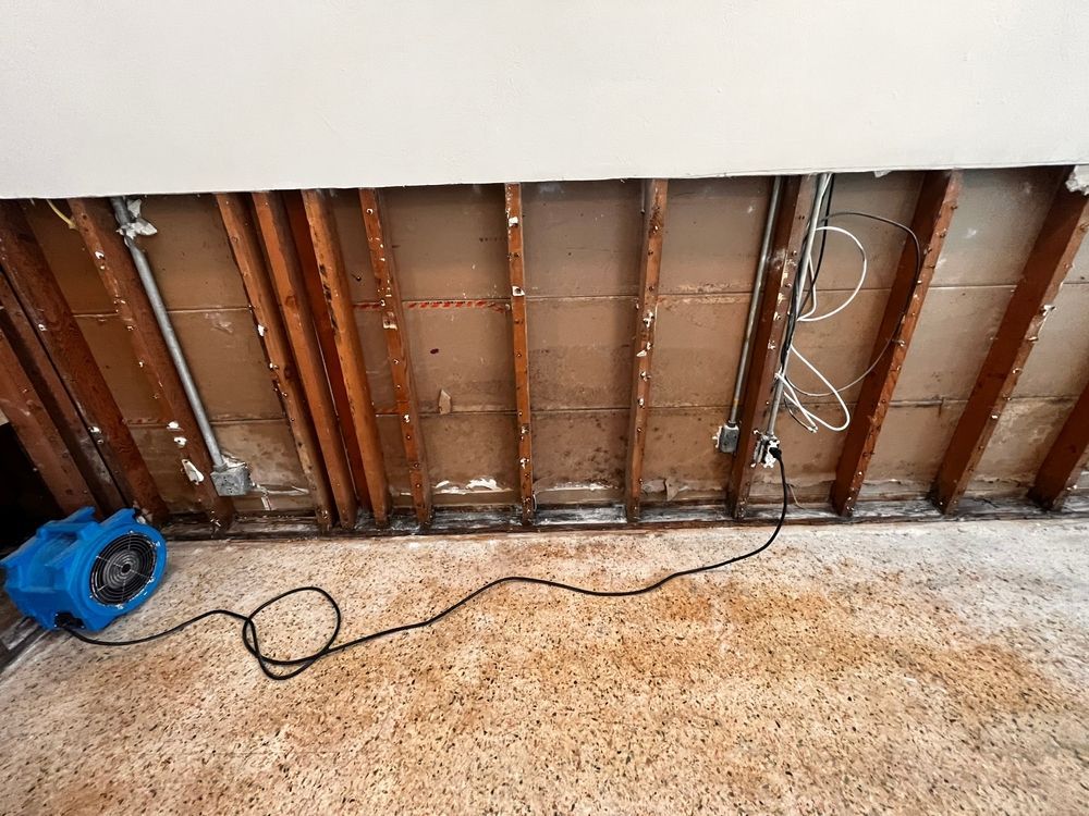 Exposed wall studs in a room with a blue fan on the floor and a black cable across the carpet.