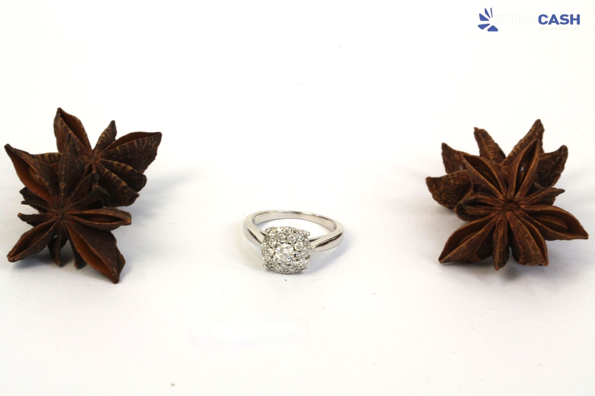 10ct White Gold Cluster Ring With Papers