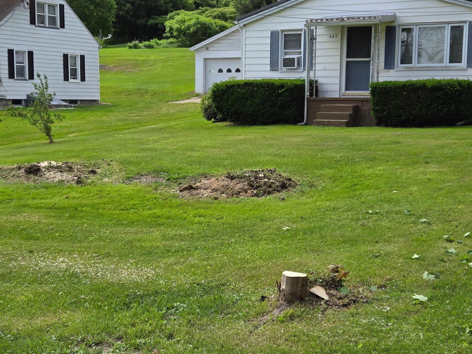 A white house sits in the middle of a lush green field
