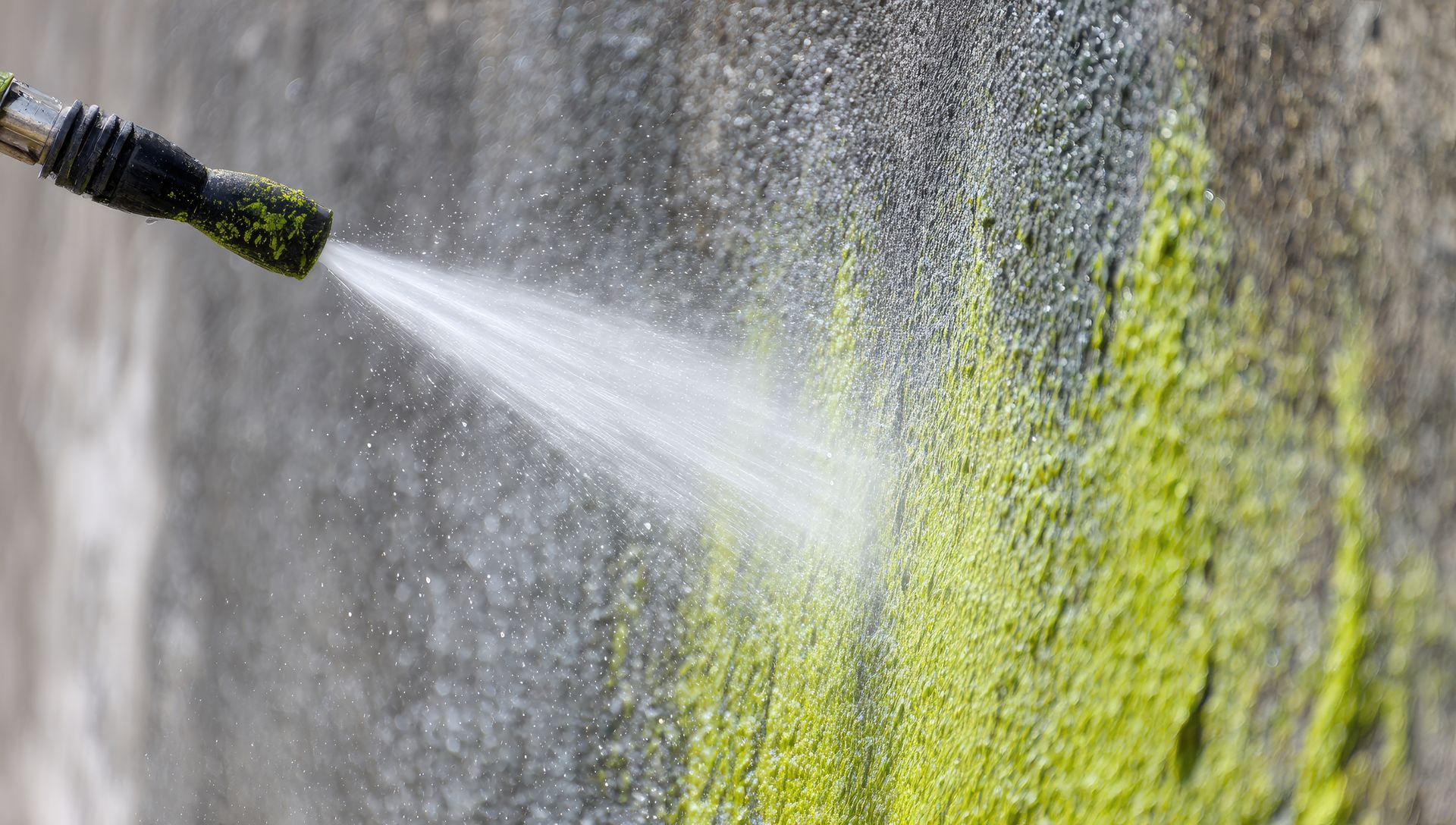 Pressure washer spraying water on a concrete wall covered in green algae.