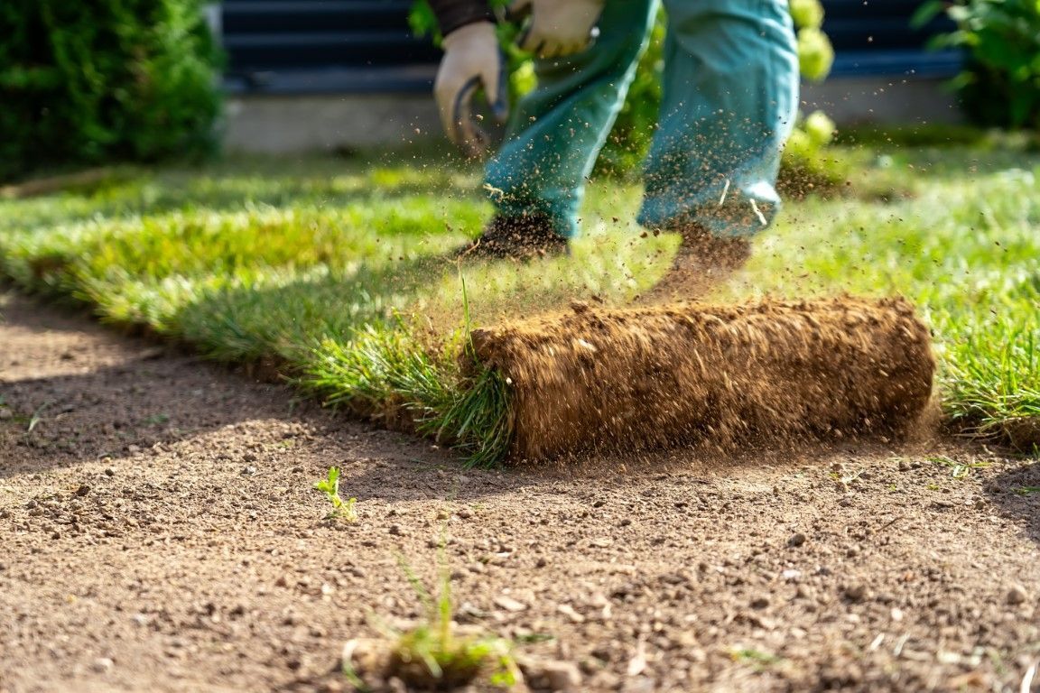 Landscaper installing sod near a lawn roller and stone patio.