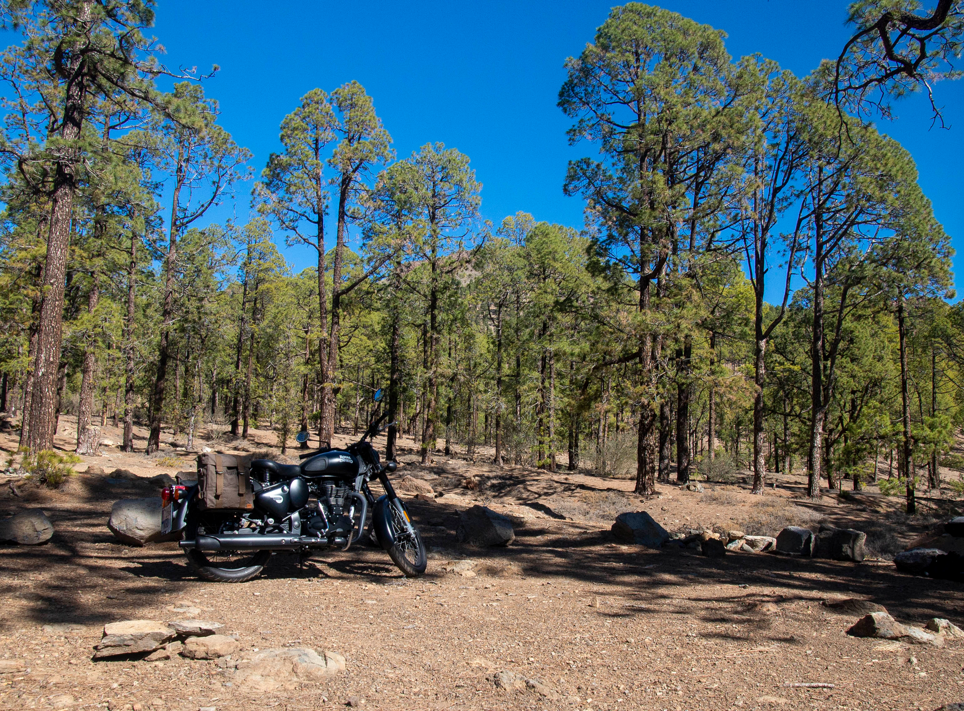 A motorcycle is parked in the middle of a forest