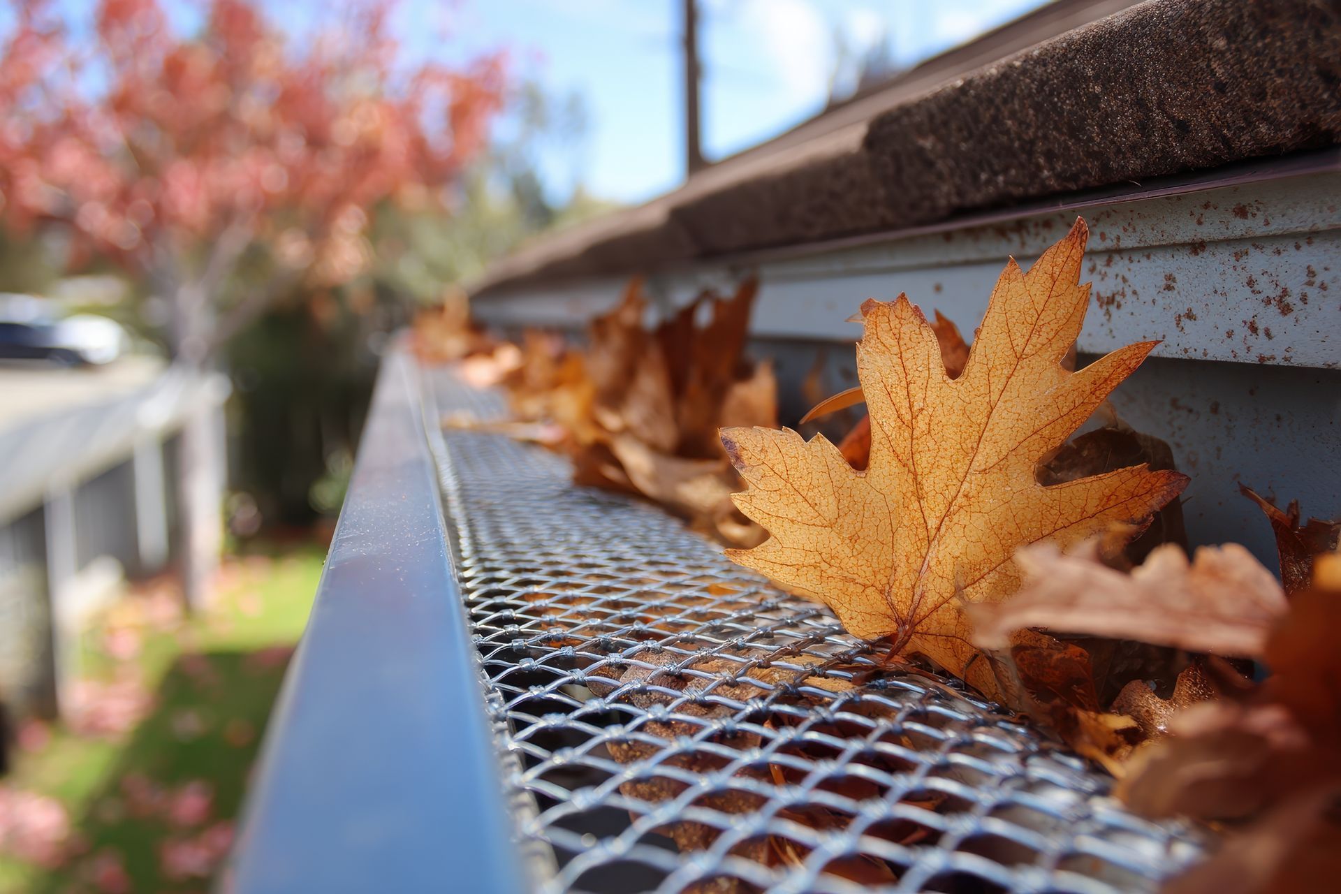 Gutter Guards