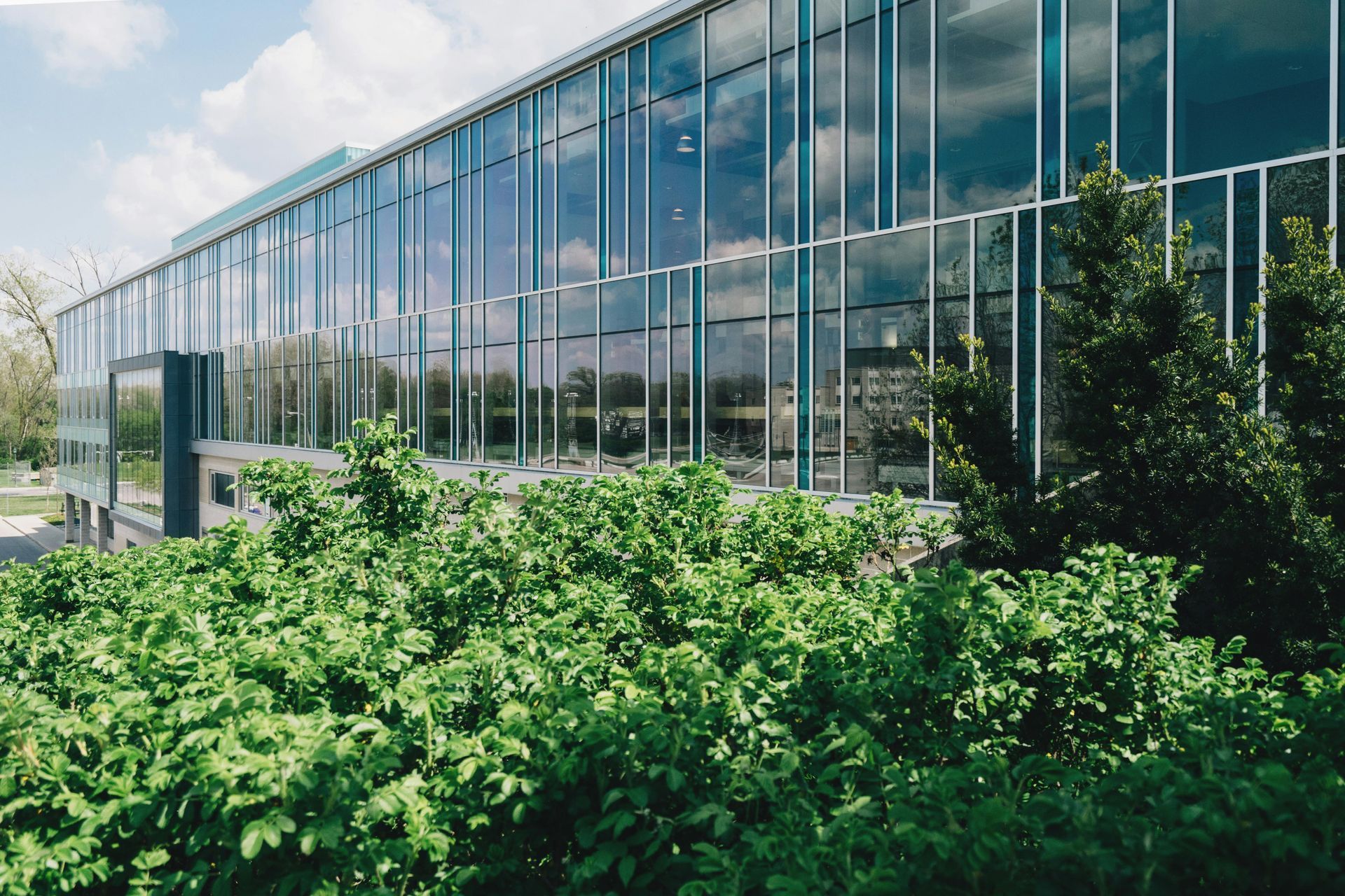 A large building with lots of windows is surrounded by trees and bushes.