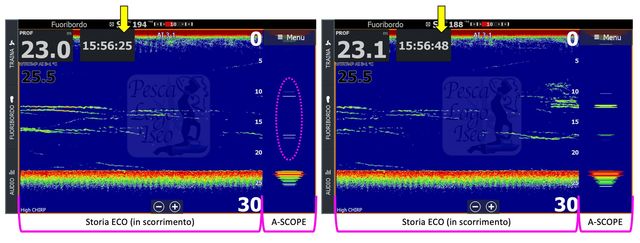 Come Scegliere l'Ecoscandaglio Lowrance Giusto Per Ogni Tipo di Pesca -  Apnea Magazine