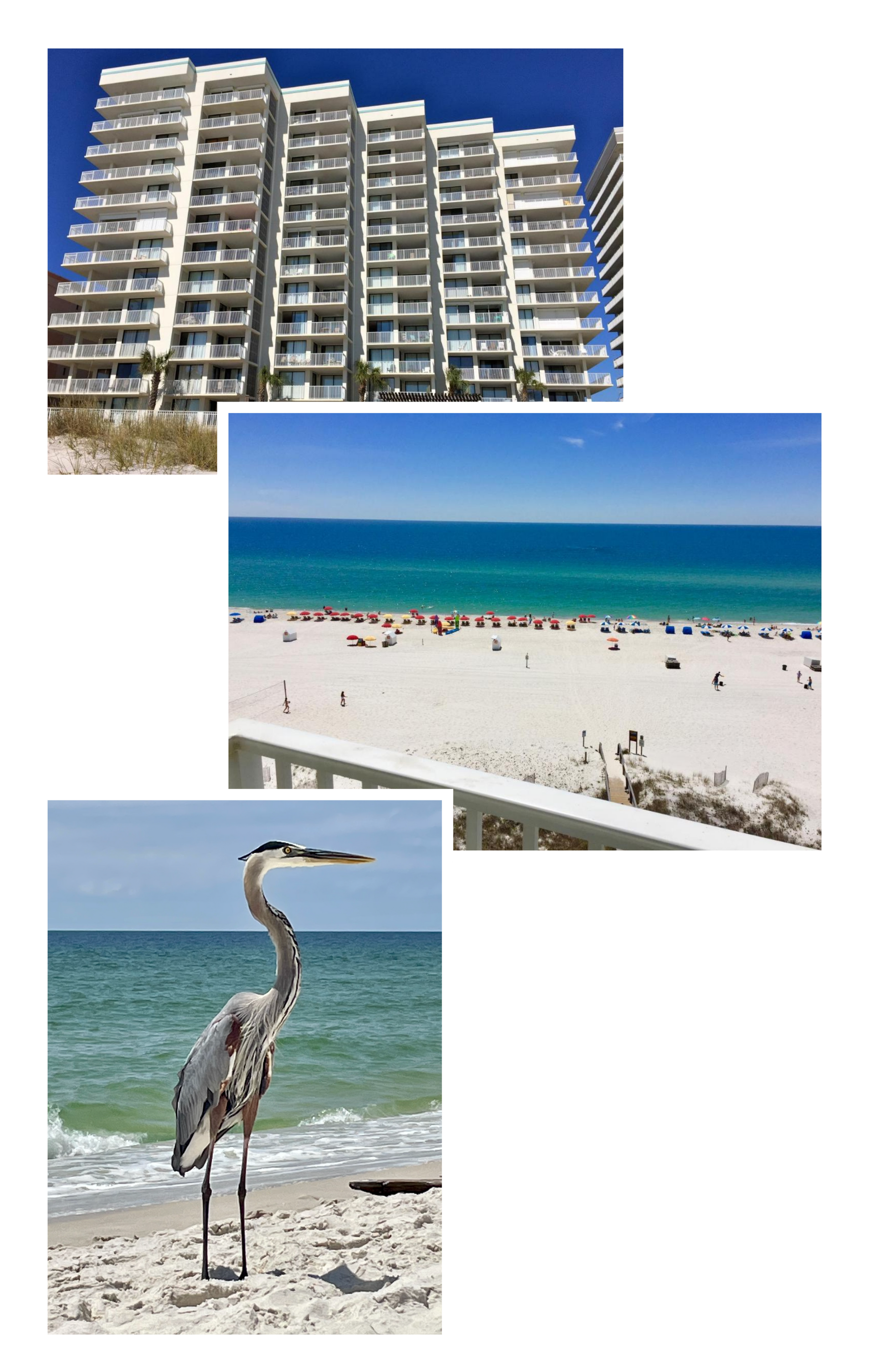 Beach front condo photo in Orange Beach