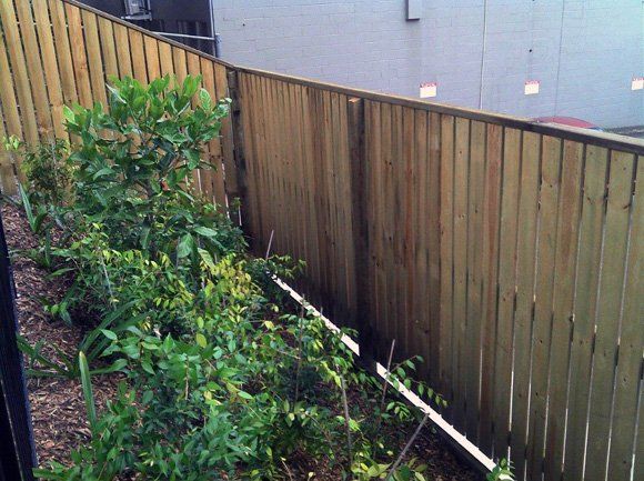 Timber Fence Capped — Fencing in Burleigh Heads,  QLD