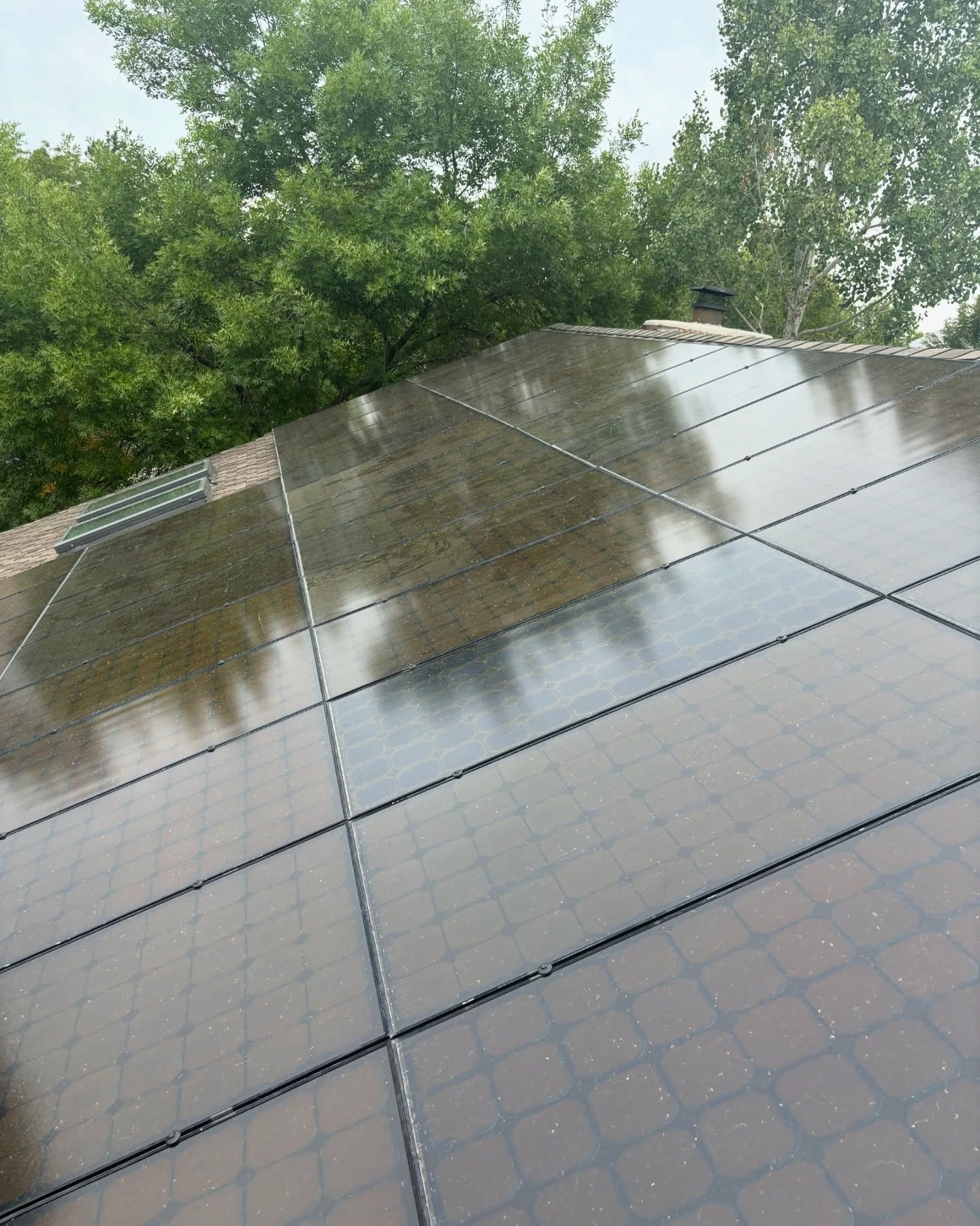 A row of solar panels on a roof with trees in the background