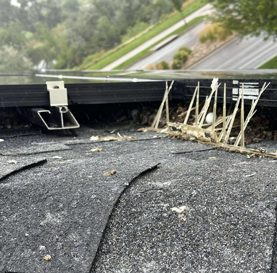 Close-up of solar panels on a rooftop with bird nests and debris beneath the panels.