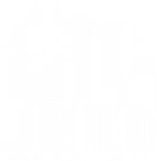 A white background with a few lines on it