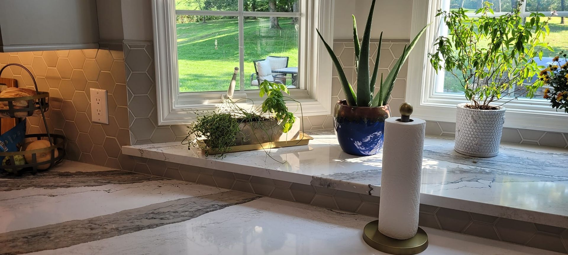 Kitchen countertop with plants by the window, paper towel holder in focus.