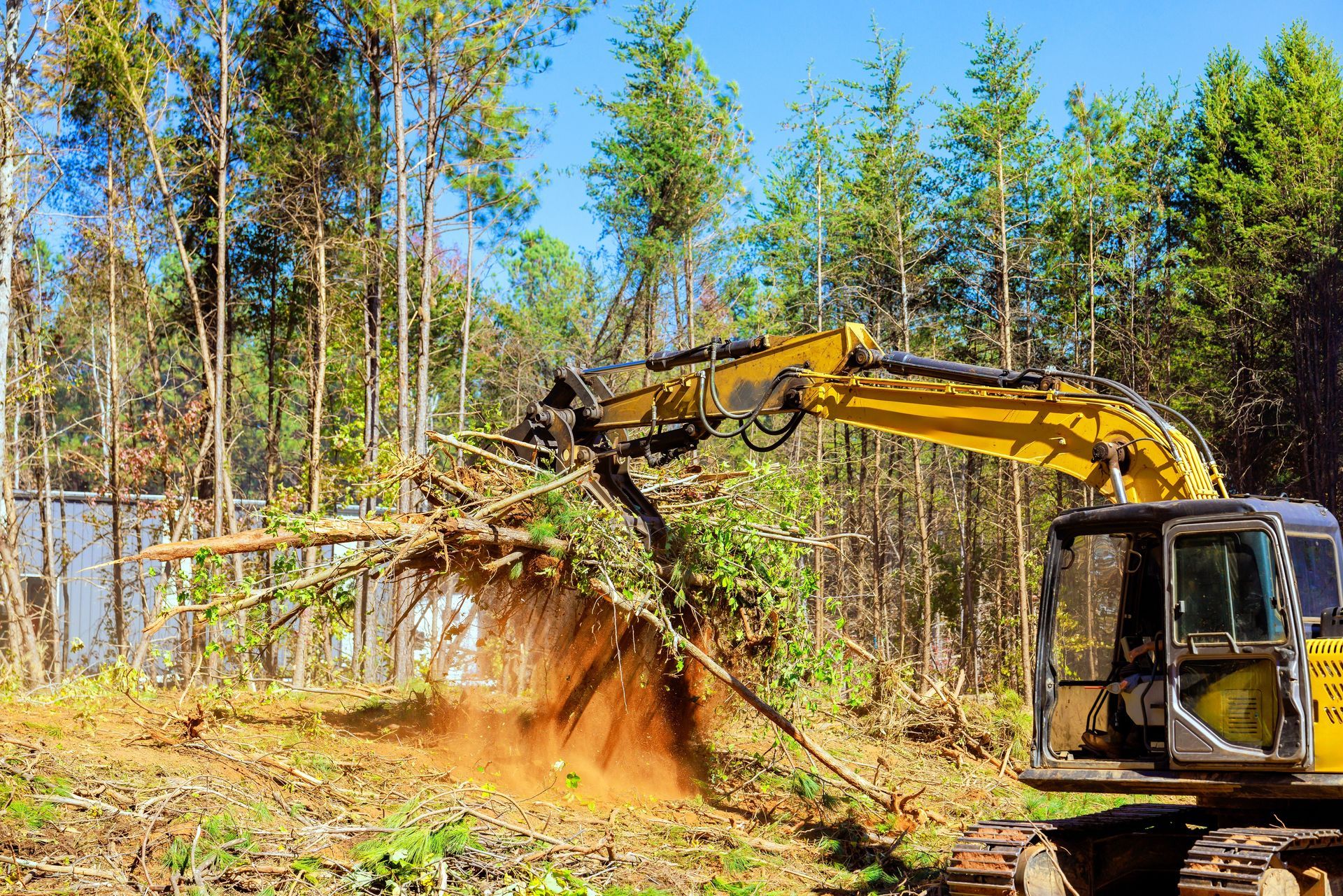 Yellow excavator clearing trees in a wooded area; sunny day, blue sky.