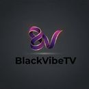 BlackVibeTV Television Network