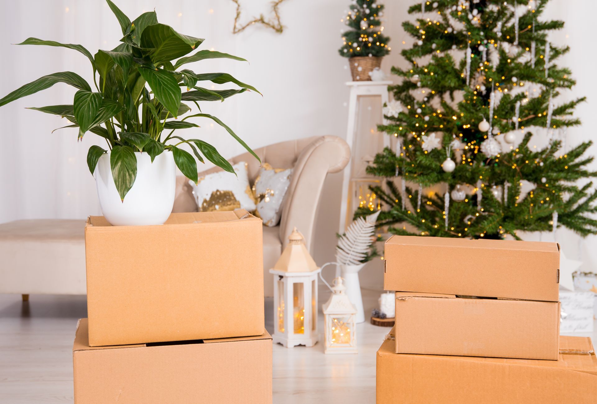 Boxes stacked in a room decorated for Christmas with a lit tree and a houseplant.