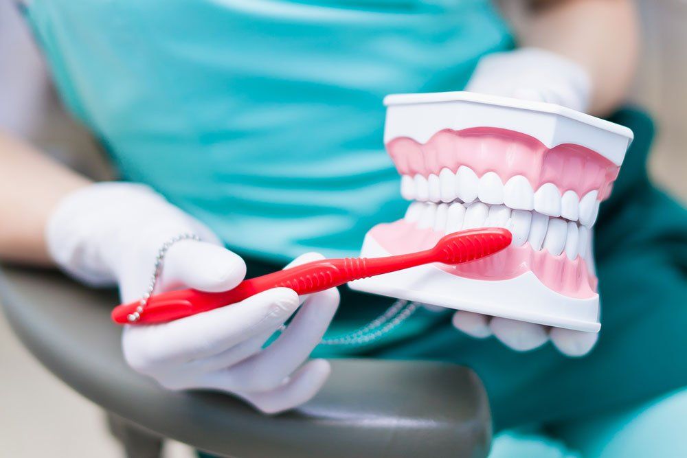 fake teeth model being brushed by dentist
