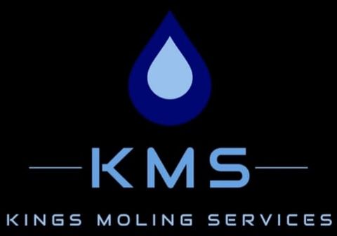 Kings Moling Services logo