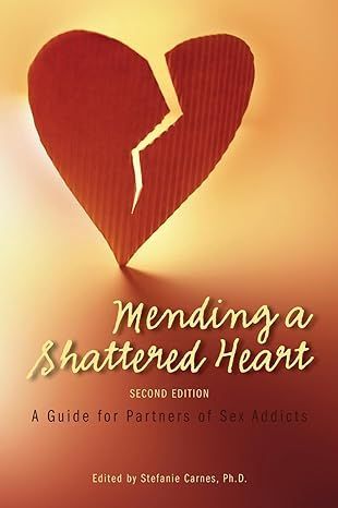 Mending a Shattered Heart Book