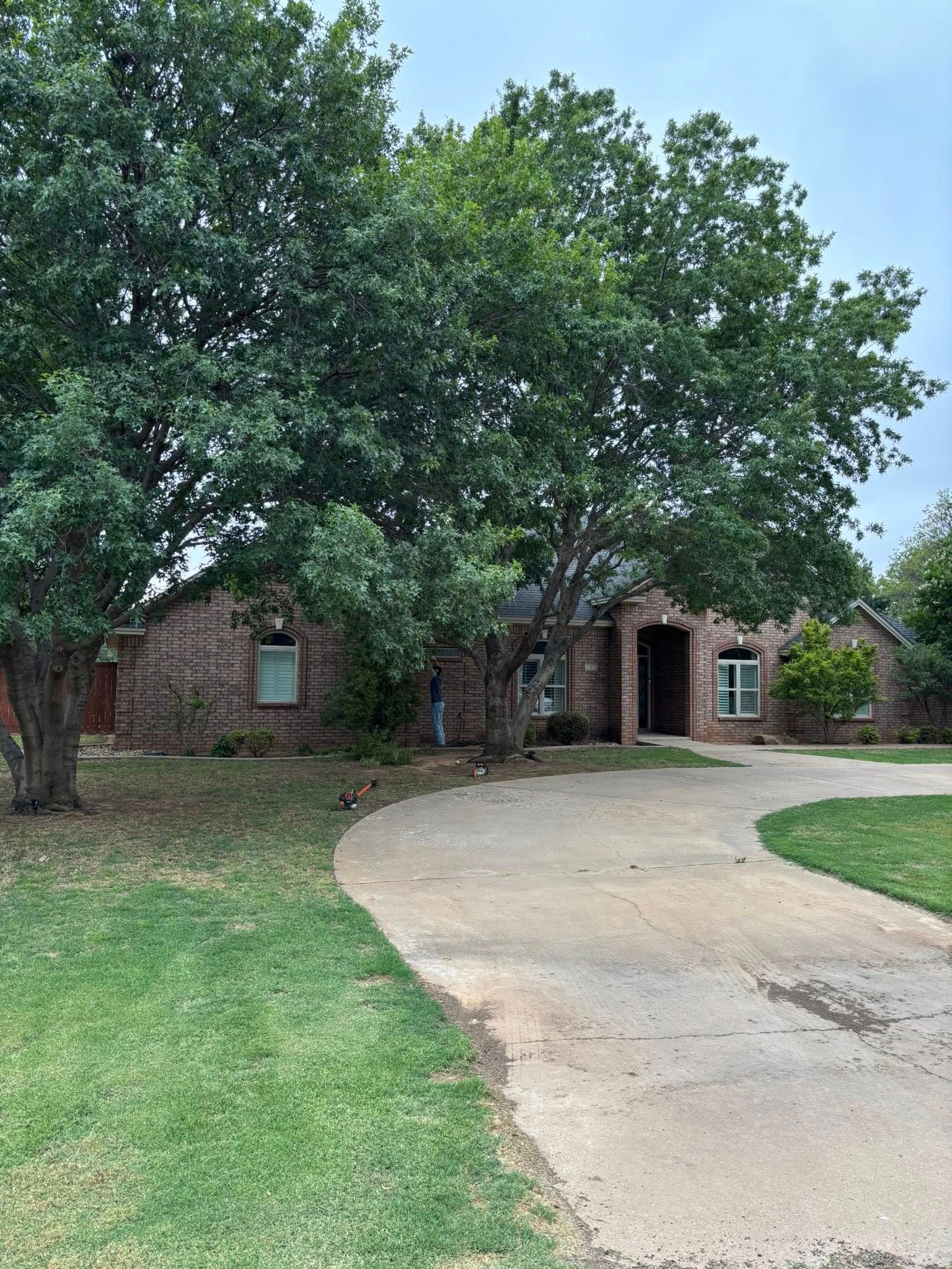 Brick house with circular driveway, partially obscured by trees.