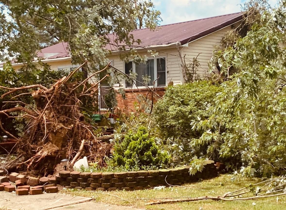 House with fallen tree and debris in front. Brick wall and bushes partially visible.