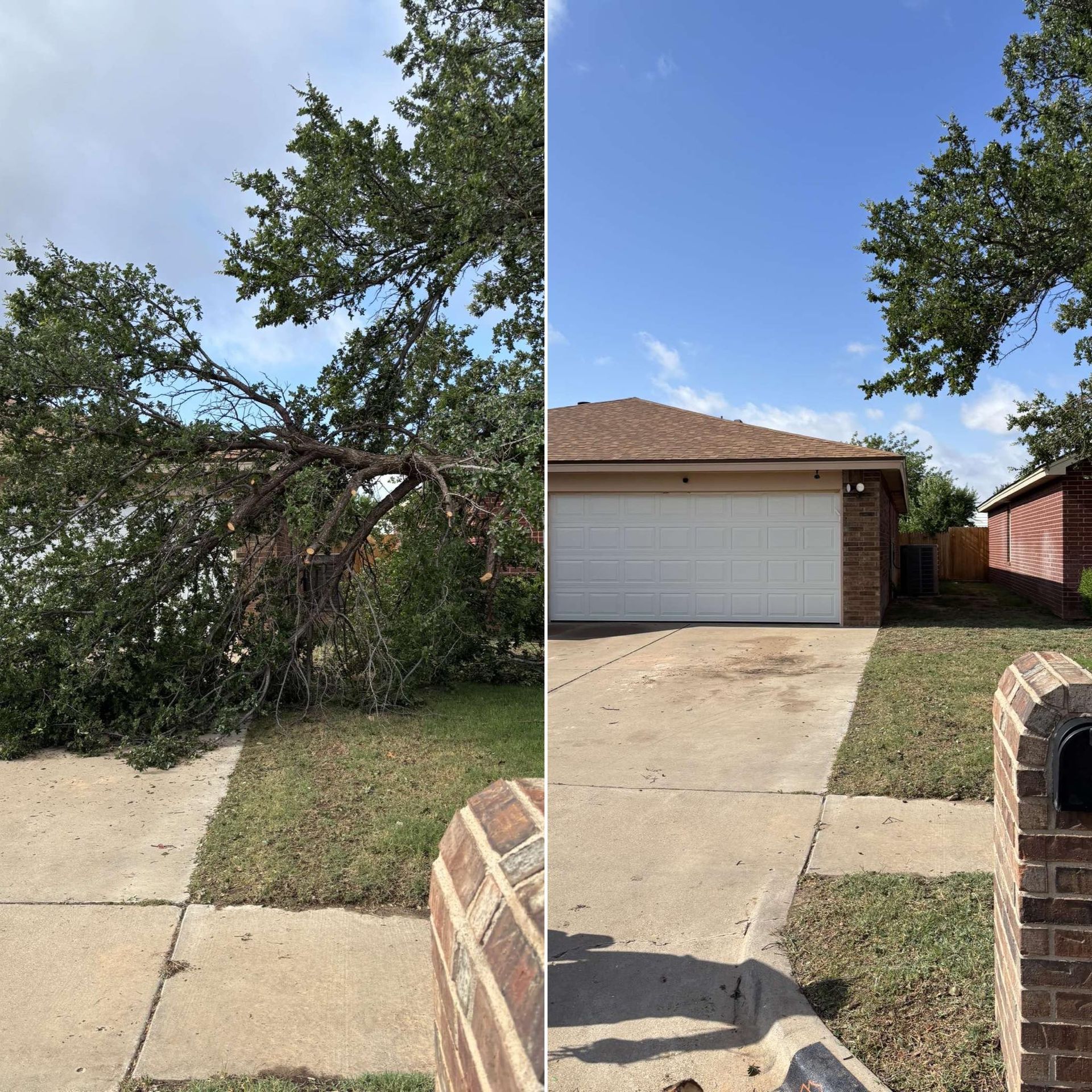 Two images side-by-side show a damaged tree on a lawn and then a neatly trimmed tree and yard.