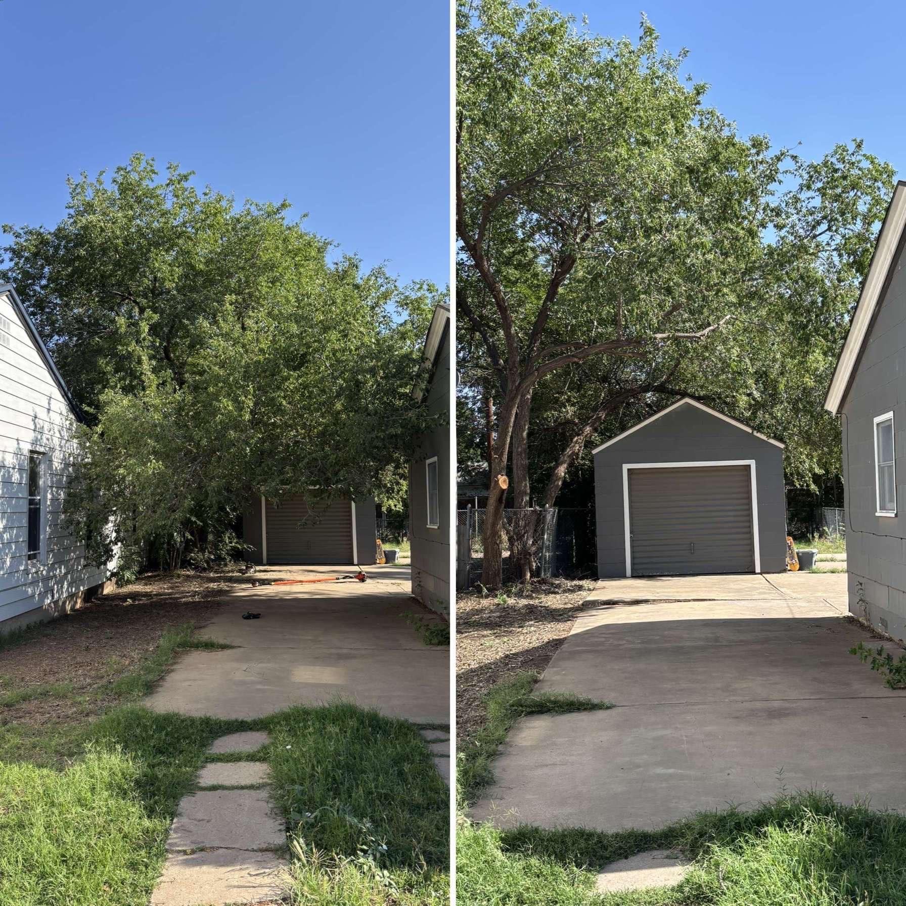 Before and after views of a driveway, garage, and a tree, showing tree trimming.