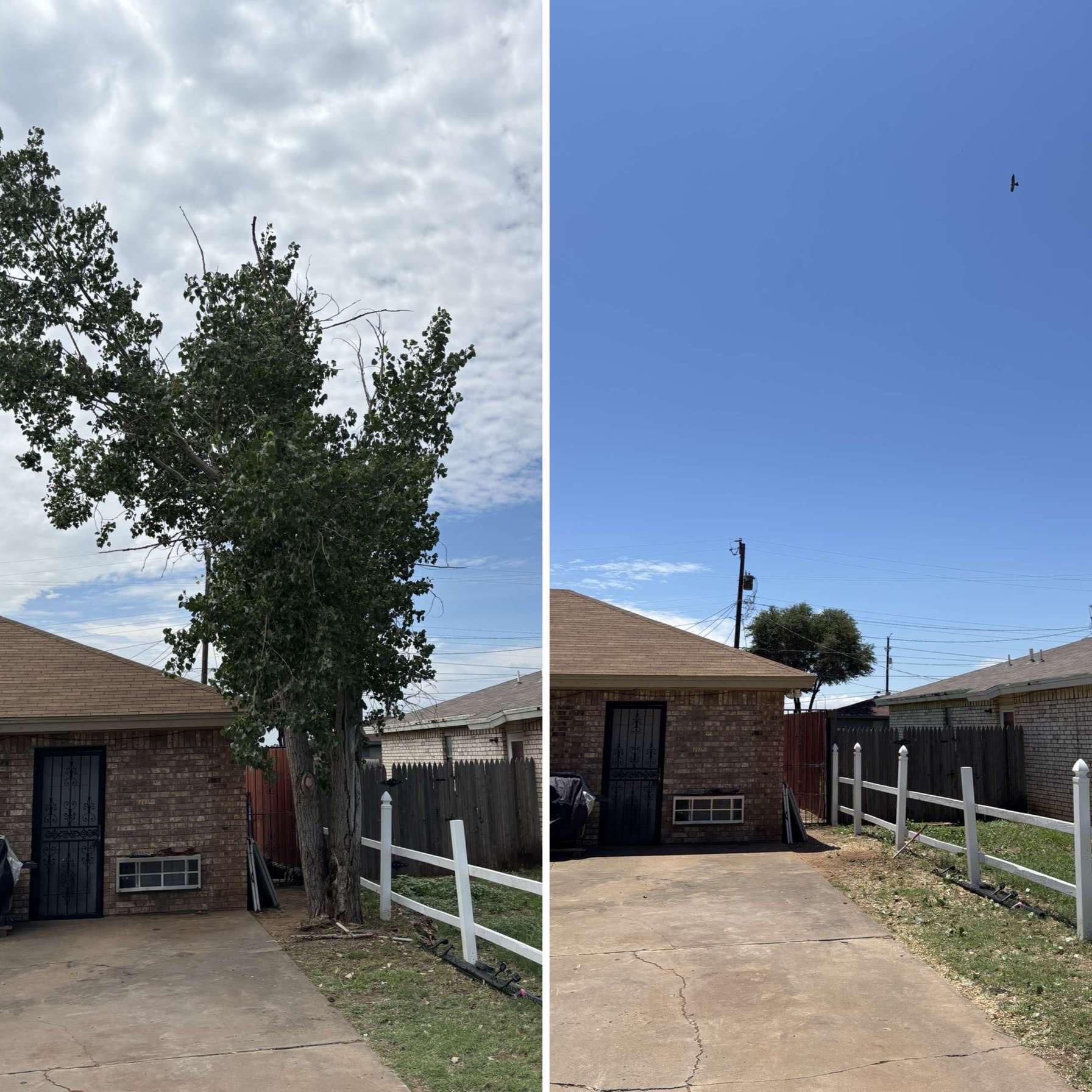 Two side-by-side photos: A tree in a yard, then the same yard with the tree gone, showing blue sky.