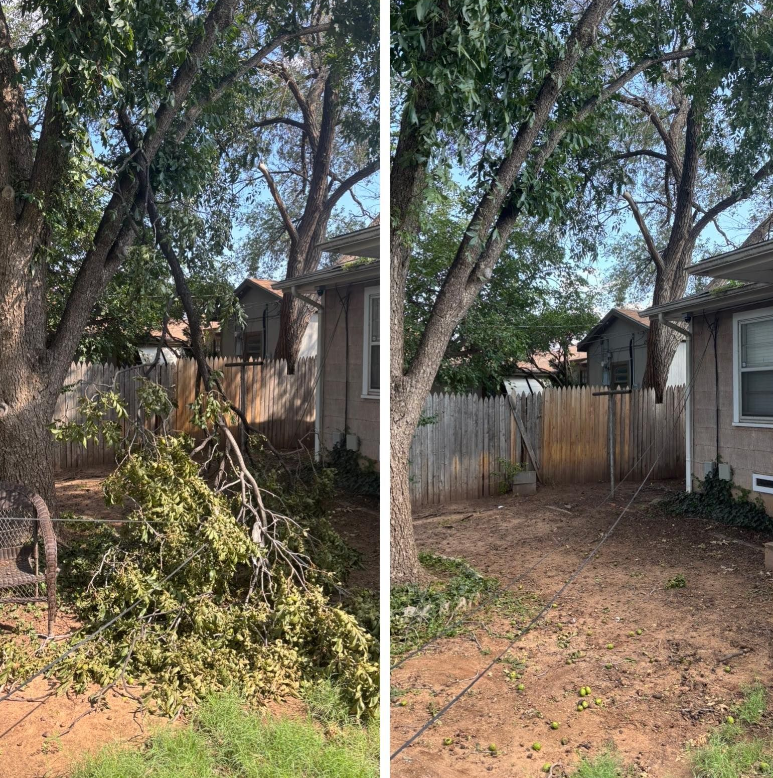 Before and after photos of tree pruning in a backyard. A pile of branches on the left, cleared yard on the right.