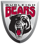 proud sponsor of burleigh bears