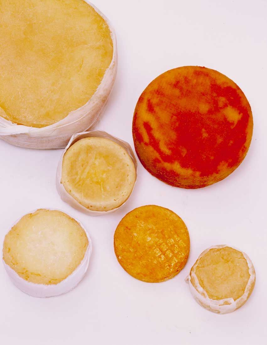 Portuguese and Spanish PDO Cheese