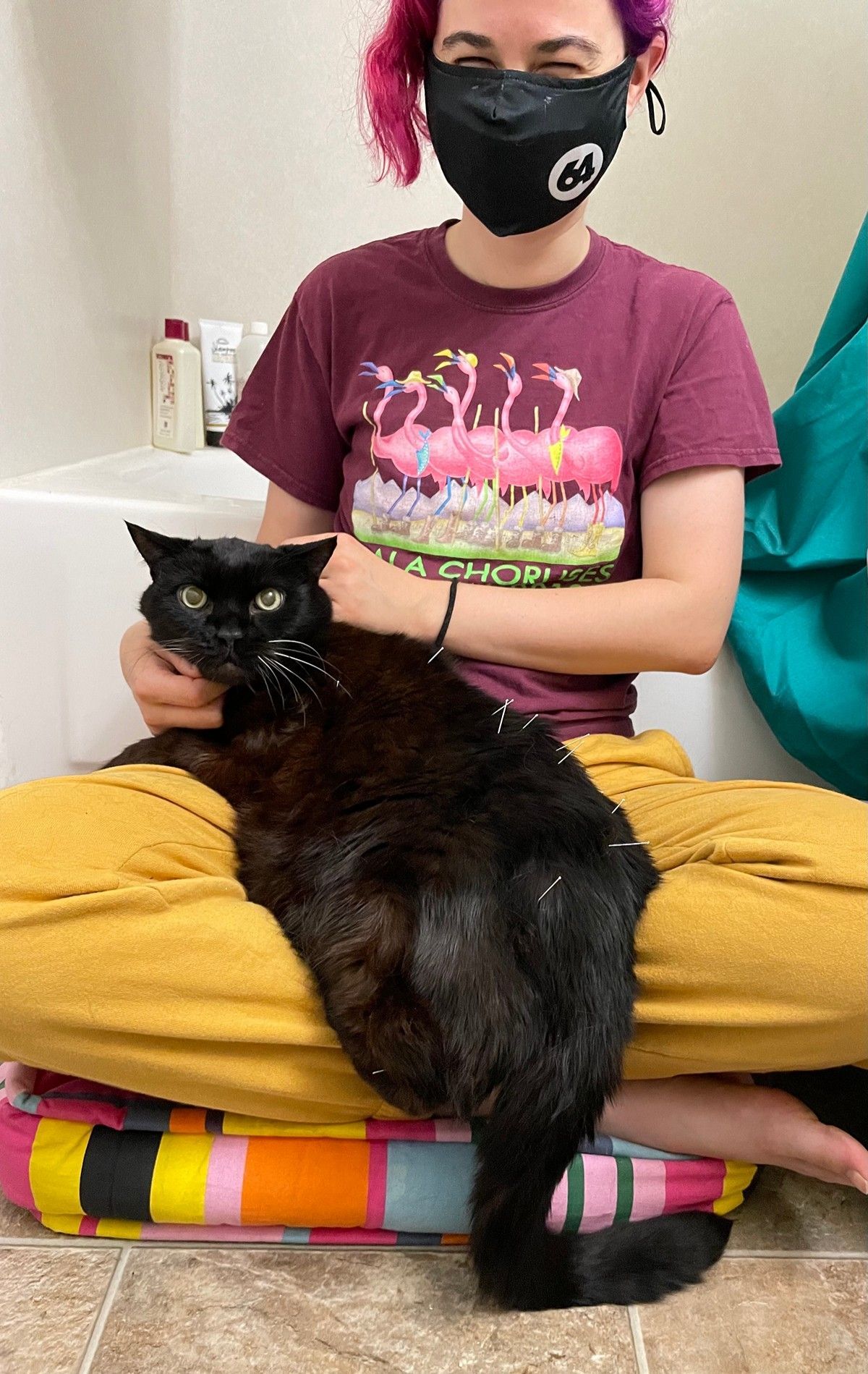 A person with pink hair and a black mask sits cross-legged on a striped cushion holding a large black cat on their lap.