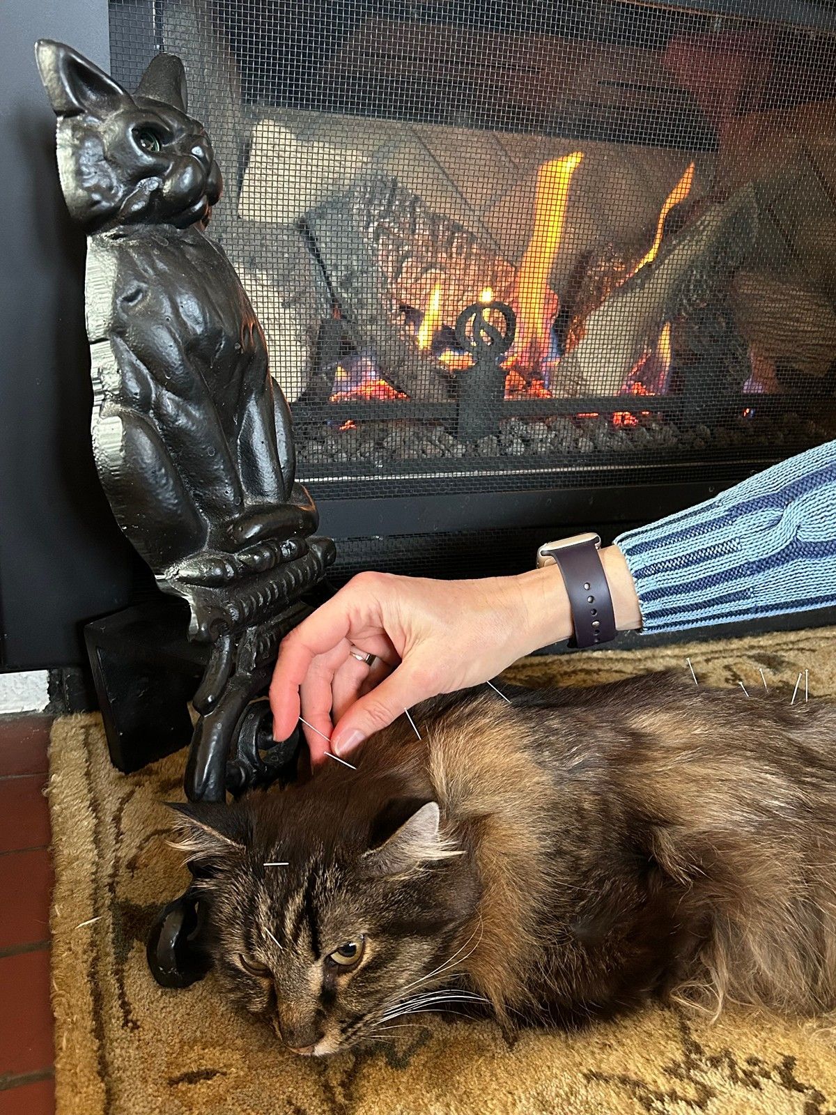 A person gently pets a brown tabby cat resting on a rug in front of a fireplace with a cat-shaped iron fire dog.