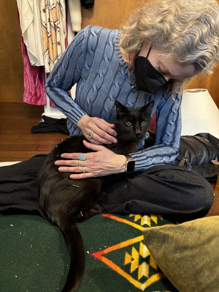 A person wearing a blue cable-knit sweater and a black mask gently strokes a black cat sitting in their lap.