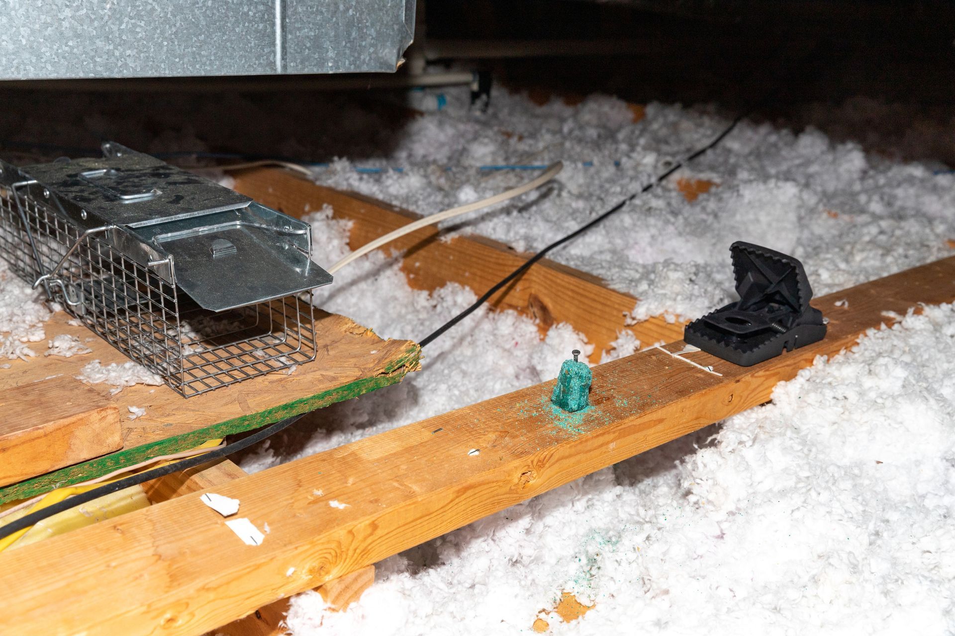 A mouse trap is sitting on a wooden floor in an attic.
