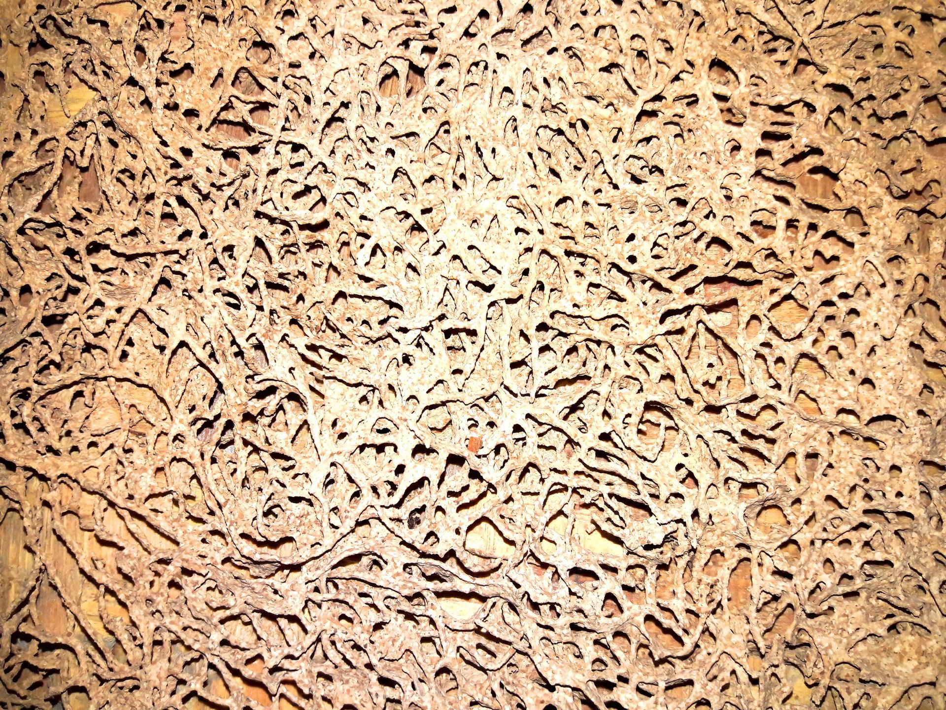 A close up of a piece of wood with a pattern on it.
