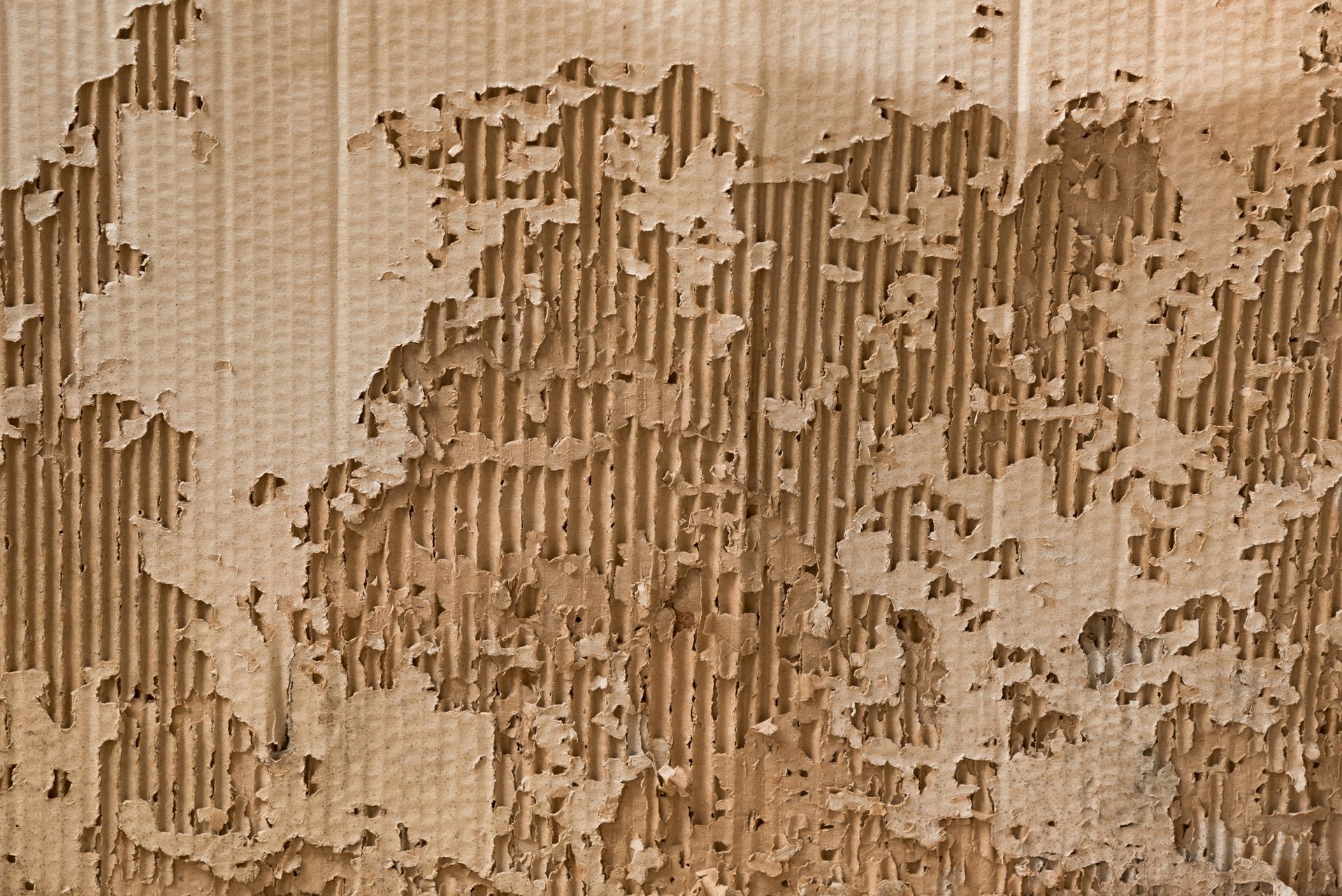 A close up of a piece of cardboard with holes in it