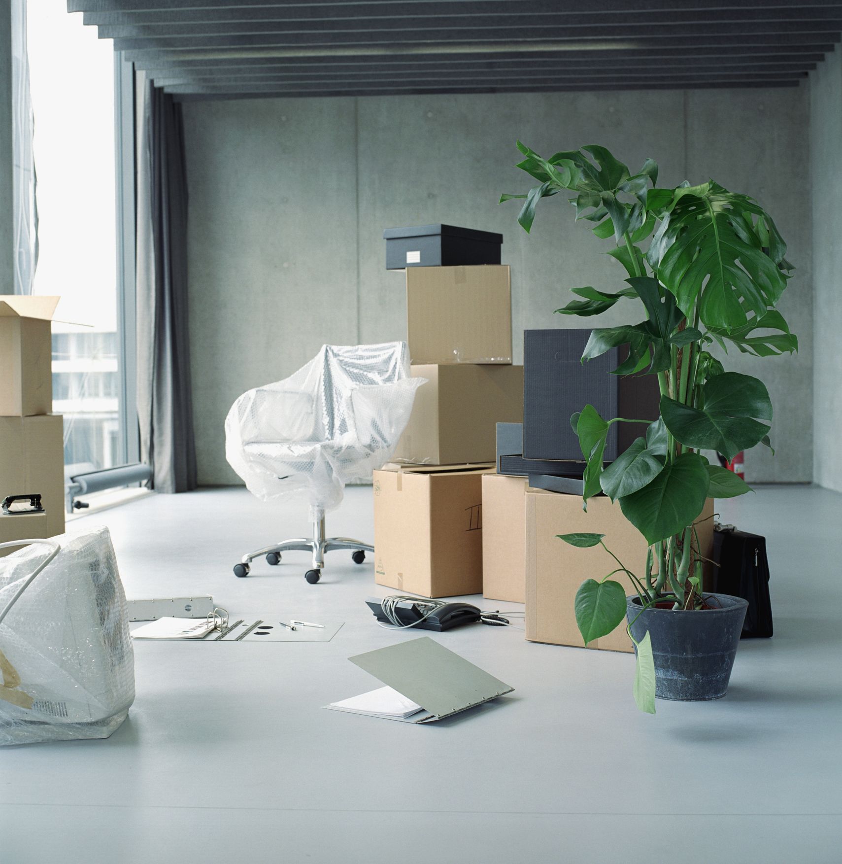 A room filled with cardboard boxes and a potted plant
