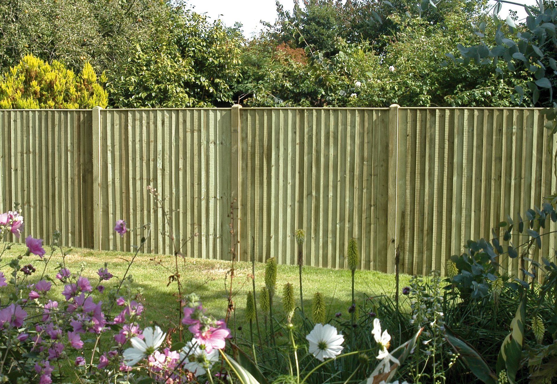 Featheredge Board Fencing