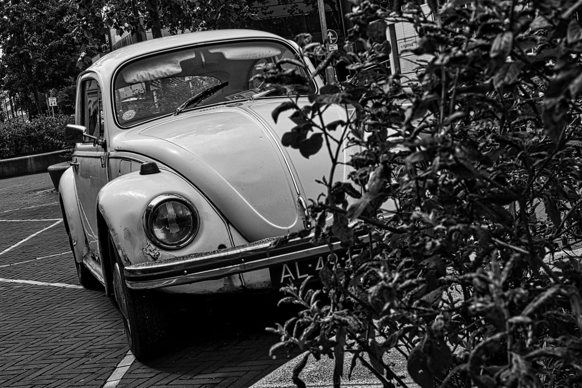 Black-and-white vintage Volkswagen Beetle partly hidden by bushes 