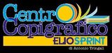 Eliosprint logo
