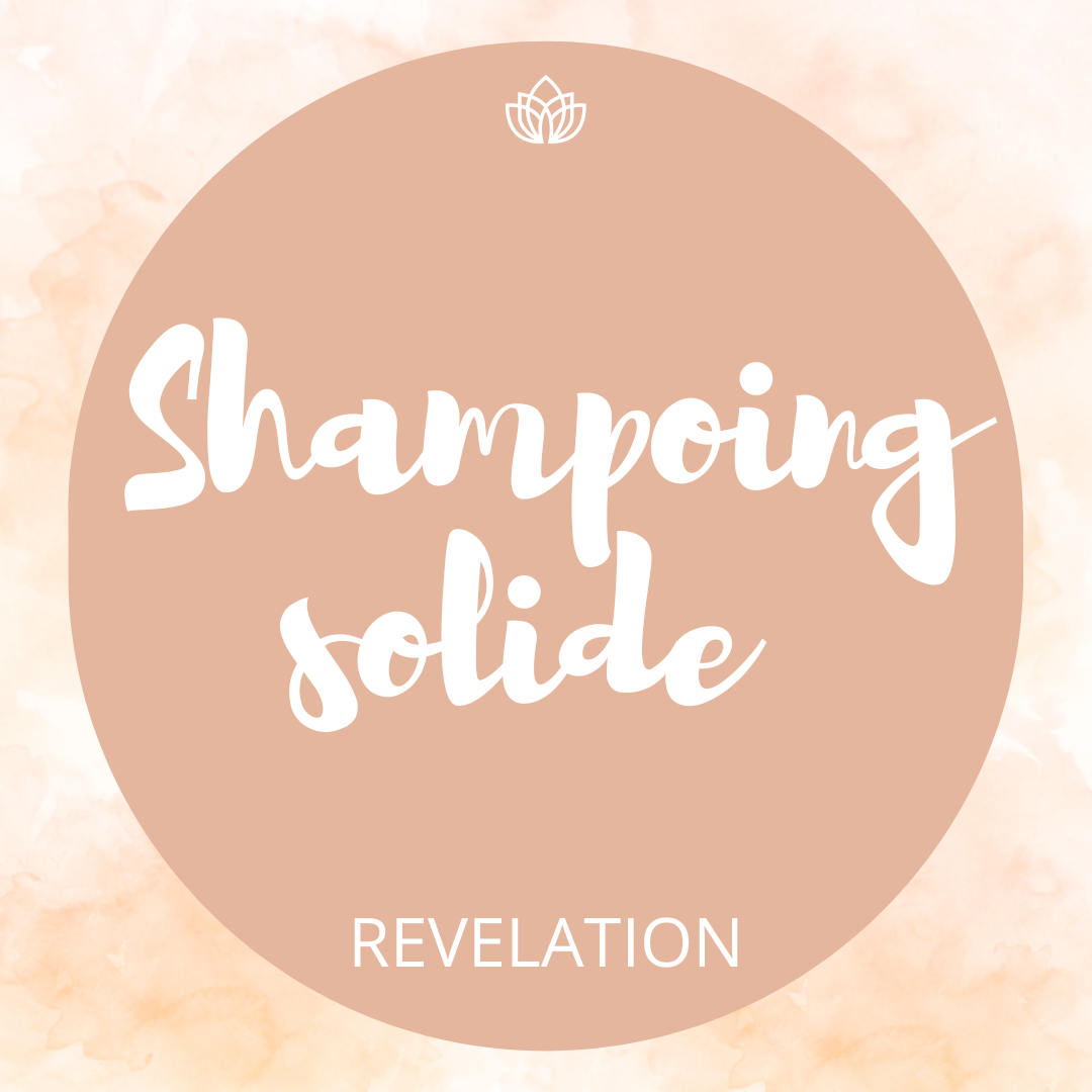 shampoing solide